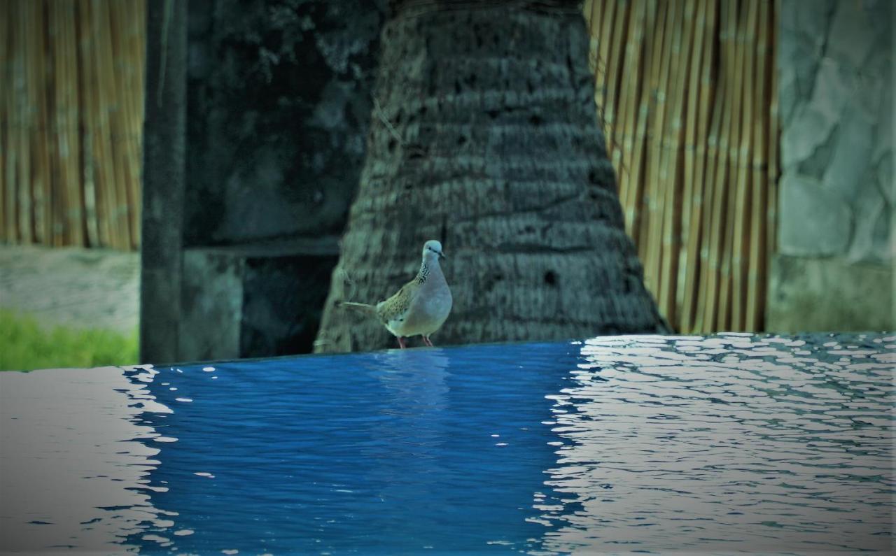 Bali Bhuana Beach cabañas Amed Exterior foto